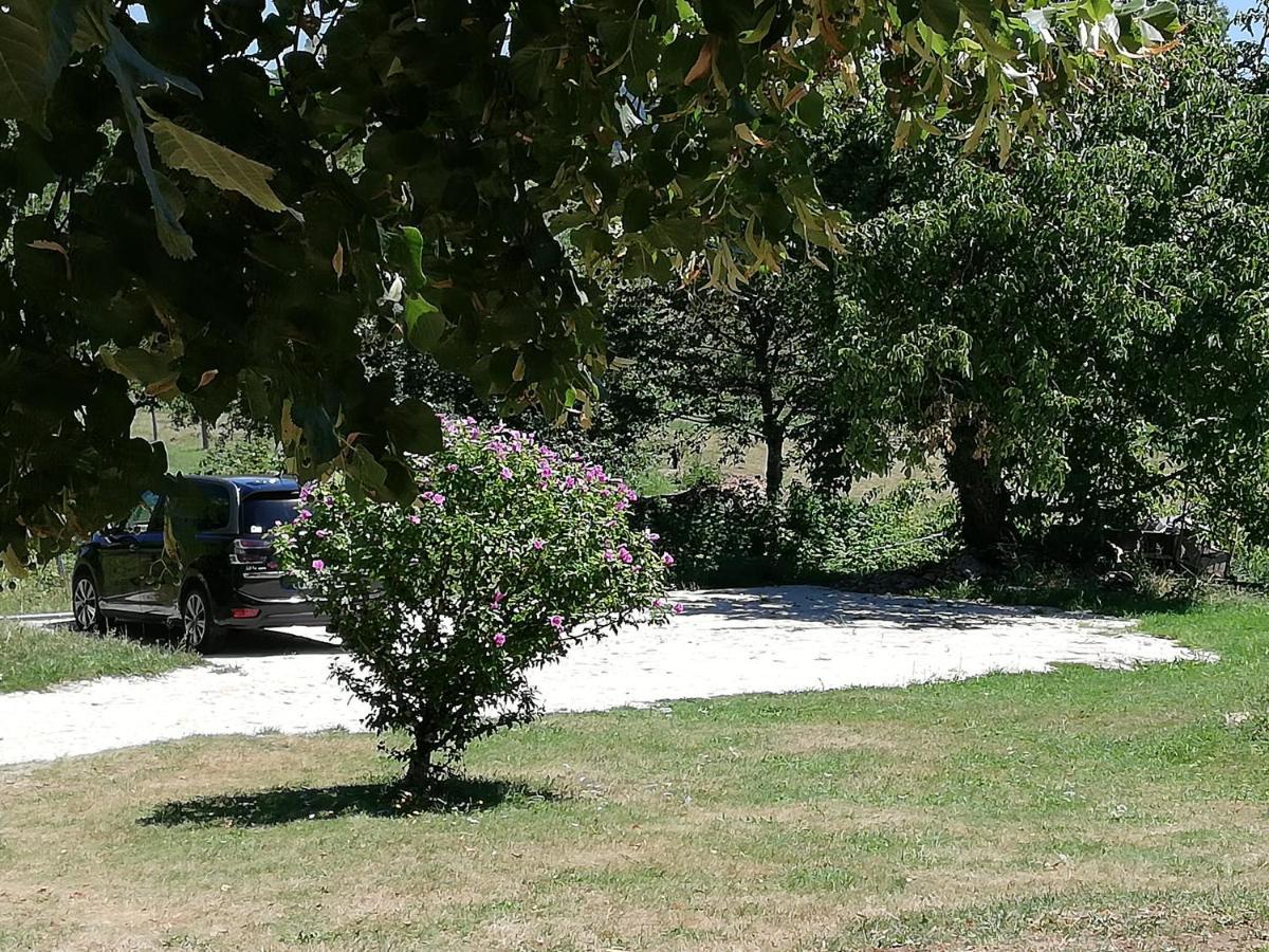 Chambre D'Hote Equestre Au Petit Bonheur Chateldon Exterior foto