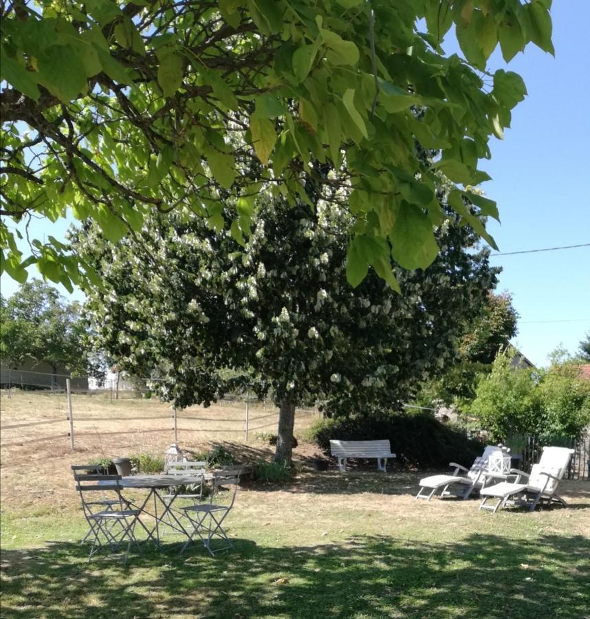 Chambre D'Hote Equestre Au Petit Bonheur Chateldon Exterior foto