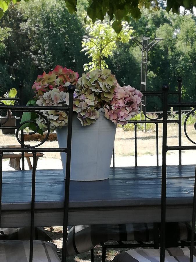 Chambre D'Hote Equestre Au Petit Bonheur Chateldon Exterior foto